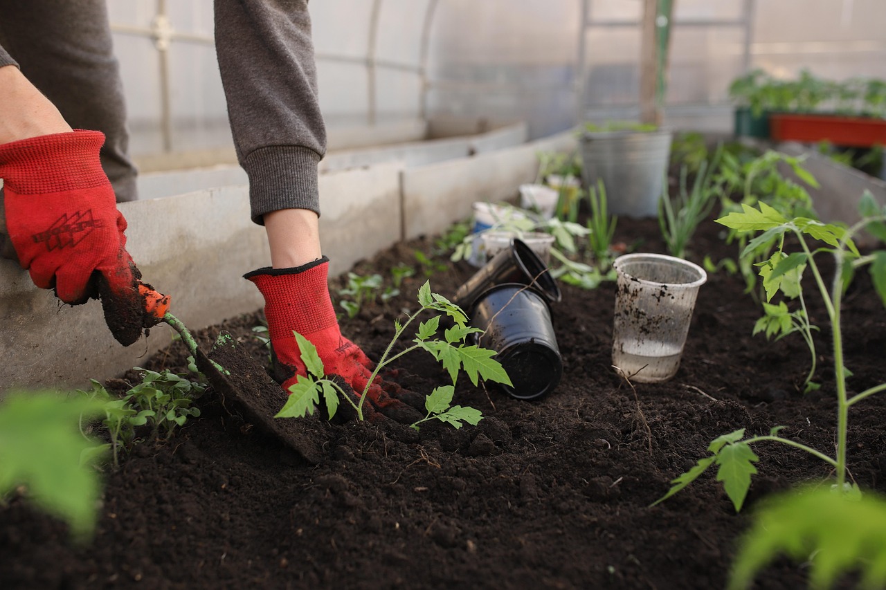 Garden and outdoor tools